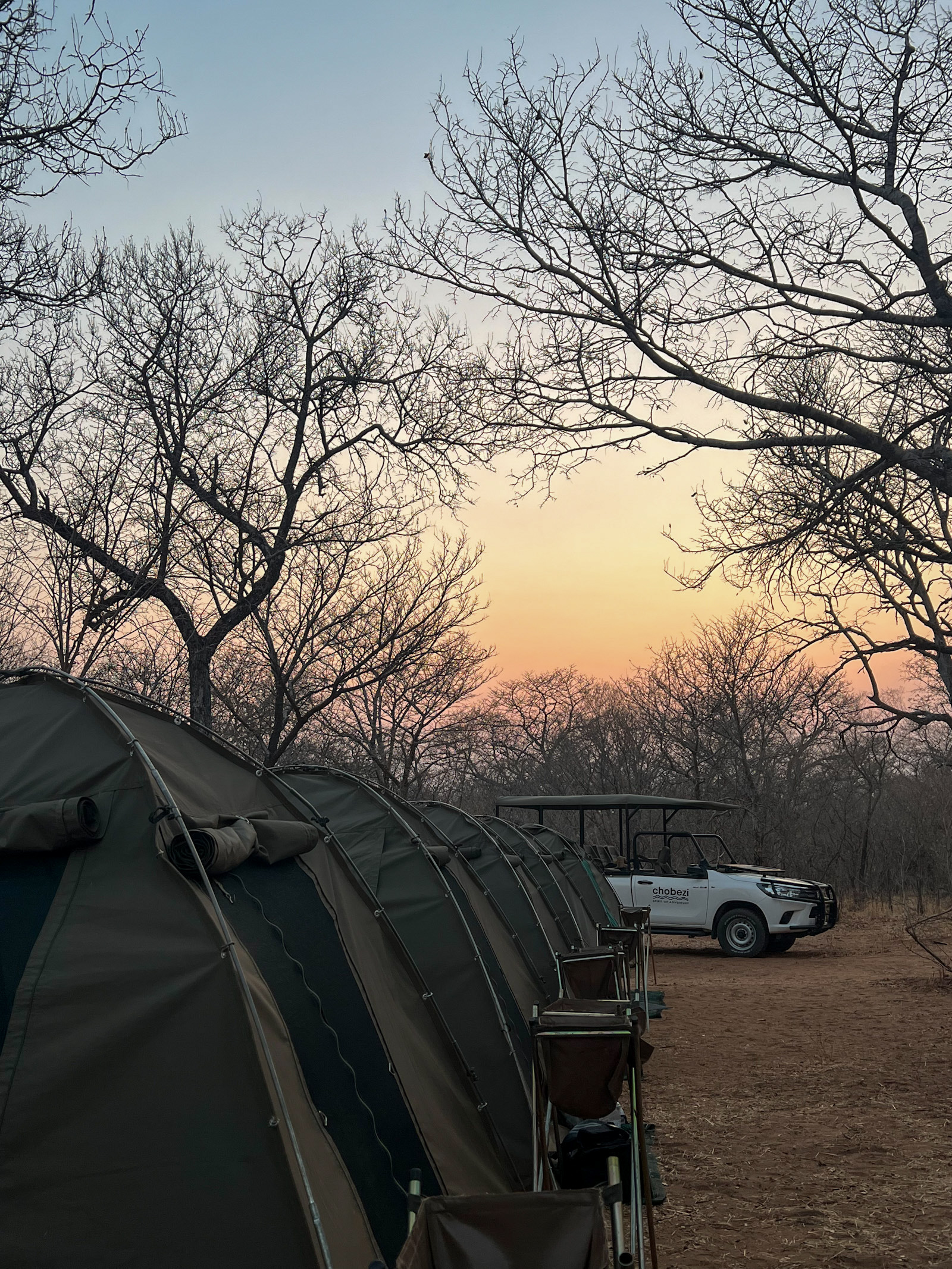 Chobezi Review: Safari in Chobe National Park